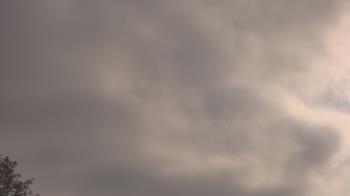 Weather camera view of The Lamplighter School.