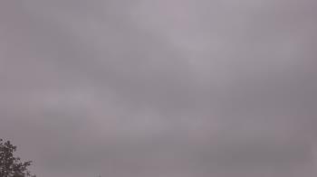 Weather camera view of The Lamplighter School.