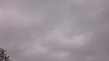 Weather camera view of The Lamplighter School.