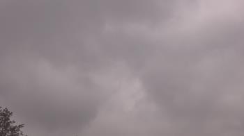 Weather camera view of The Lamplighter School.