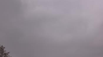 Weather camera view of The Lamplighter School.