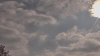 Weather camera view of The Lamplighter School.