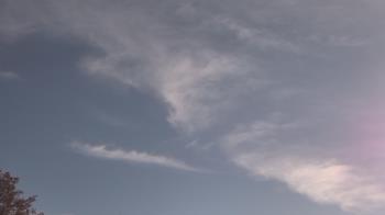 Weather camera view of The Lamplighter School.