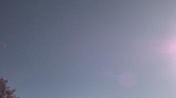 Weather camera view of The Lamplighter School.