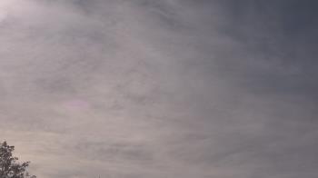 Weather camera view of The Lamplighter School.