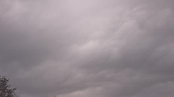 Weather camera view of The Lamplighter School.