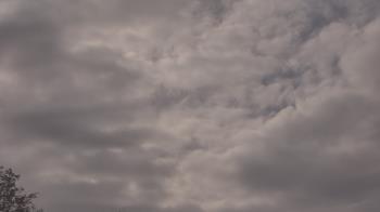 Weather camera view of The Lamplighter School.