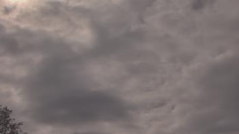 Weather camera view of The Lamplighter School.