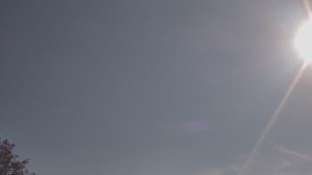 Weather camera view of The Lamplighter School.