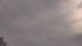 Weather camera view of The Lamplighter School.