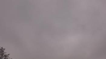 Weather camera view of The Lamplighter School.