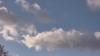 Weather camera view of The Lamplighter School.