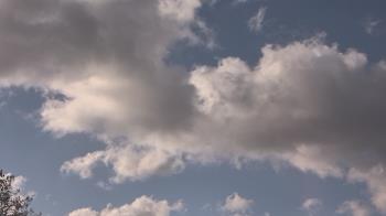 Weather camera view of The Lamplighter School.