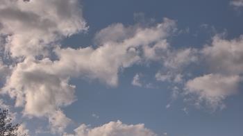 Weather camera view of The Lamplighter School.