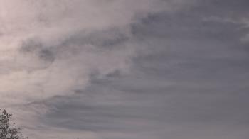 Weather camera view of The Lamplighter School.