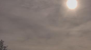 Weather camera view of The Lamplighter School.