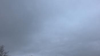 Weather camera view of The Lamplighter School.