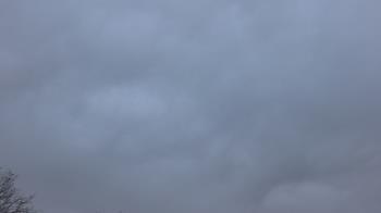 Weather camera view of The Lamplighter School.