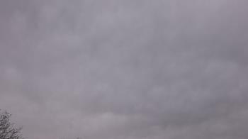 Weather camera view of The Lamplighter School.