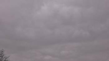 Weather camera view of The Lamplighter School.