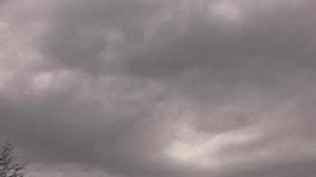 Weather camera view of The Lamplighter School.