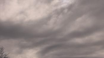 Weather camera view of The Lamplighter School.