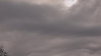 Weather camera view of The Lamplighter School.