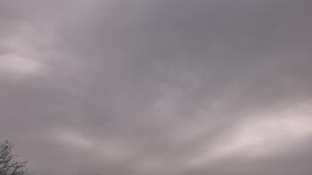 Weather camera view of The Lamplighter School.