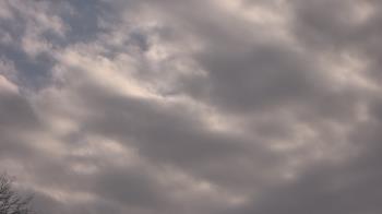 Weather camera view of The Lamplighter School.