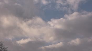 Weather camera view of The Lamplighter School.