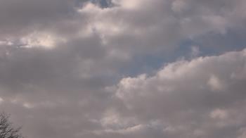 Weather camera view of The Lamplighter School.