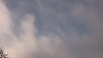 Weather camera view of The Lamplighter School.