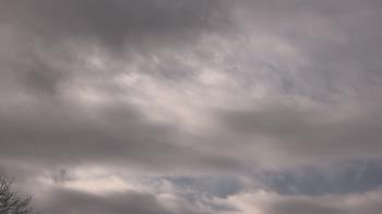 Weather camera view of The Lamplighter School.