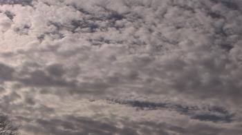 Weather camera view of The Lamplighter School.