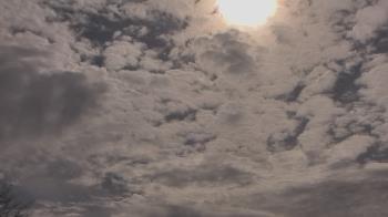 Weather camera view of The Lamplighter School.