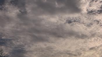 Weather camera view of The Lamplighter School.