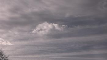 Weather camera view of The Lamplighter School.