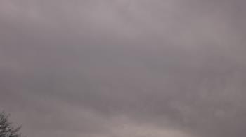 Weather camera view of The Lamplighter School.