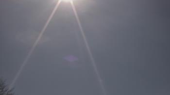 Weather camera view of The Lamplighter School.