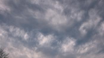 Weather camera view of The Lamplighter School.