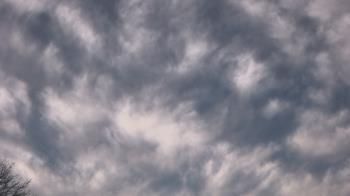 Weather camera view of The Lamplighter School.