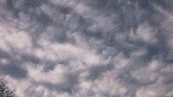 Weather camera view of The Lamplighter School.