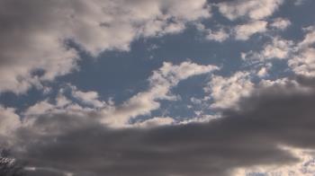 Weather camera view of The Lamplighter School.