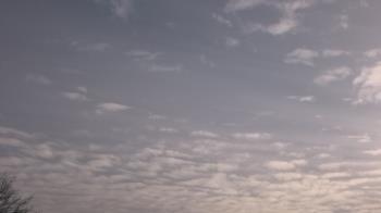 Weather camera view of The Lamplighter School.