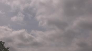 Weather camera view of The Lamplighter School.