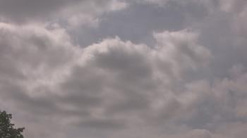 Weather camera view of The Lamplighter School.