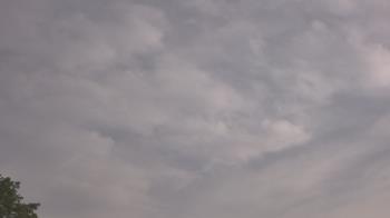 Weather camera view of The Lamplighter School.