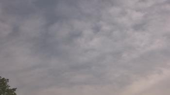 Weather camera view of The Lamplighter School.