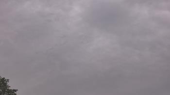 Weather camera view of The Lamplighter School.