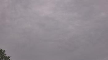 Weather camera view of The Lamplighter School.